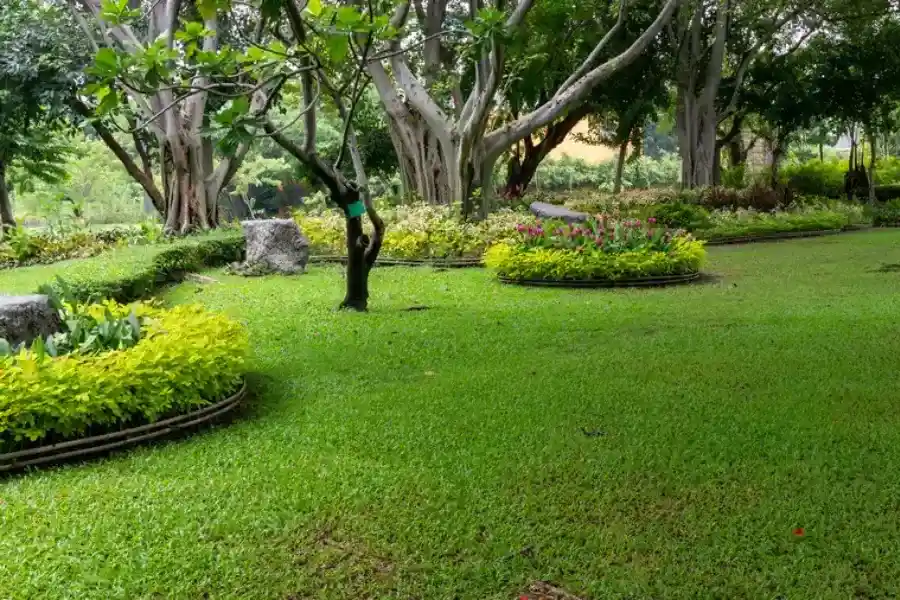 Premium Landscape Maintenance Brainerd, MN Premium Landscape Maintenance Brainerd, MN