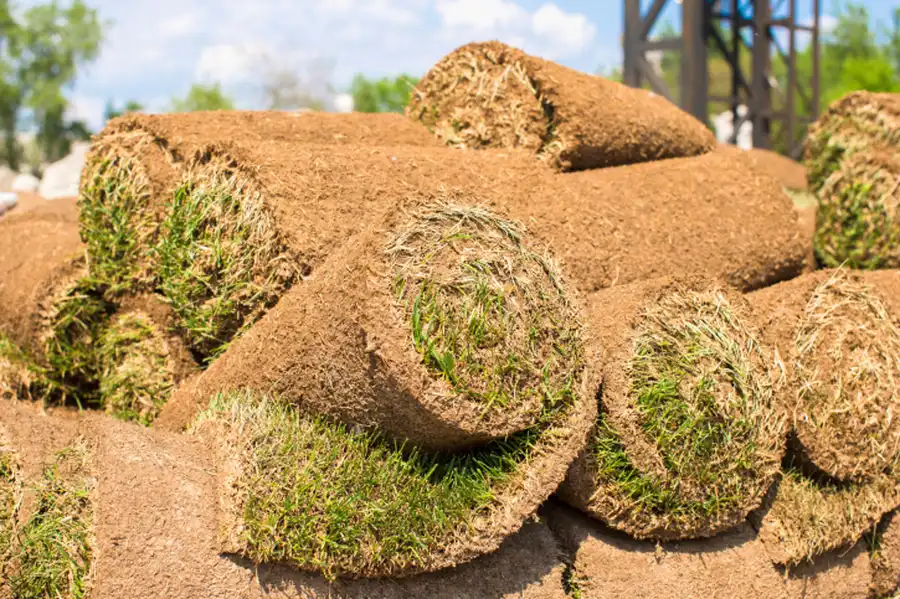 The Role Of Irrigation Systems In Successful Sod Installation in Brainerd, MN The Role Of Irrigation Systems In Successful Sod Installation in Brainerd, MN